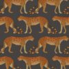 Leopard Walk 109-2008